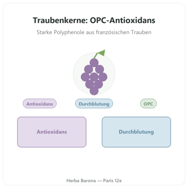 Traubenkernextrakt OPC – Dynveo – 100 mg – 60 Kapseln Vorstellung Paris Herba Barona