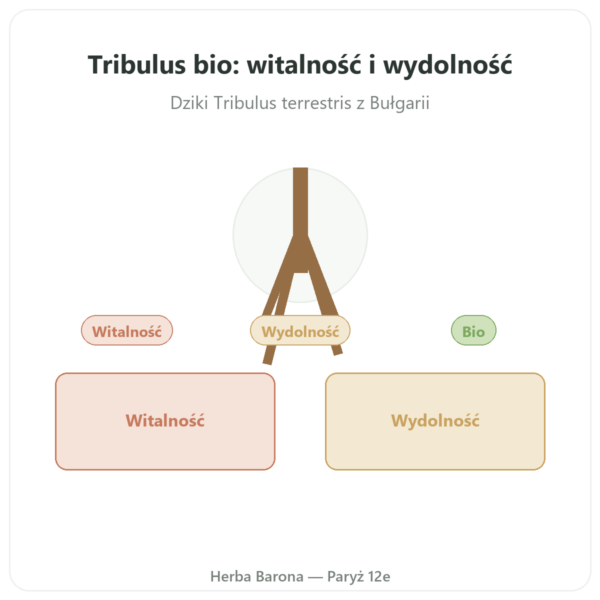 Tribulus bio Dynveo VemoHerb TS – 90% saponin 120 kapsułek prezentacja Paris Herba Barona