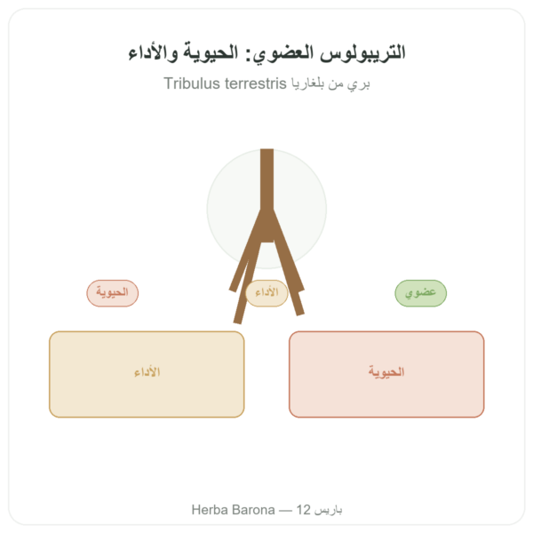 تريبولوس عضوي Dynveo VemoHerb TS – 90% سابونين – 120 كبسولة عرض المنتج Paris Herba Barona