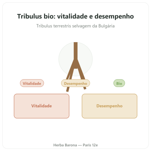Tribulus bio Dynveo VemoHerb TS – 90% saponinas 120 cápsulas apresentação Paris Herba Barona