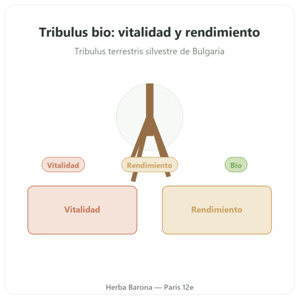 Tribulus BIO Dynveo VemoHerb TS – 90% saponinas – 120 cápsulas presentación Paris Herba Barona