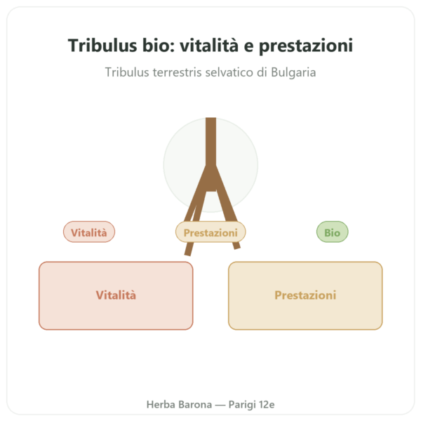 Tribulus BIO Dynveo VemoHerb TS – 90% saponine – 120 capsule presentazione Paris Herba Barona