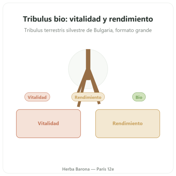 Tribulus terrestris Dynveo BIO – 300 cápsulas presentación Paris Herba Barona