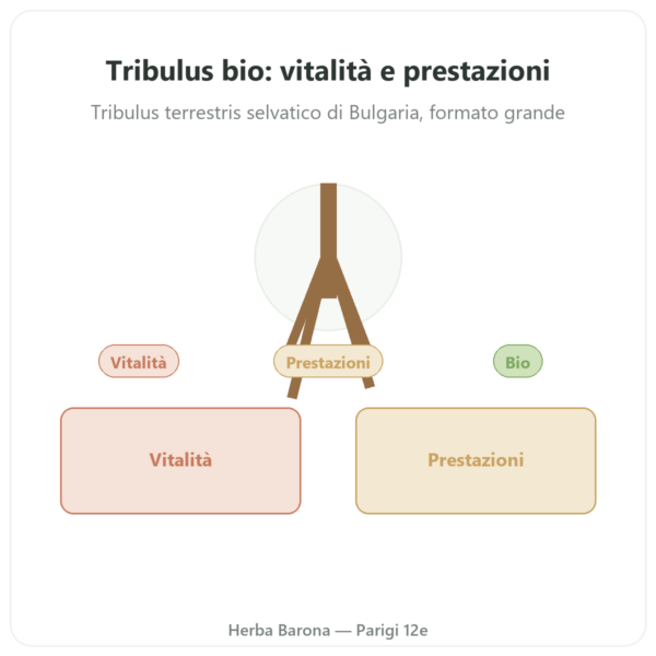 Tribulus terrestris Dynveo BIO – 300 capsule presentazione Paris Herba Barona