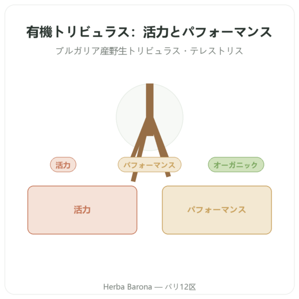 オーガニック トリビュラス Dynveo VemoHerb TS – サポニン90％ 120カプセル presentation Paris Herba Barona