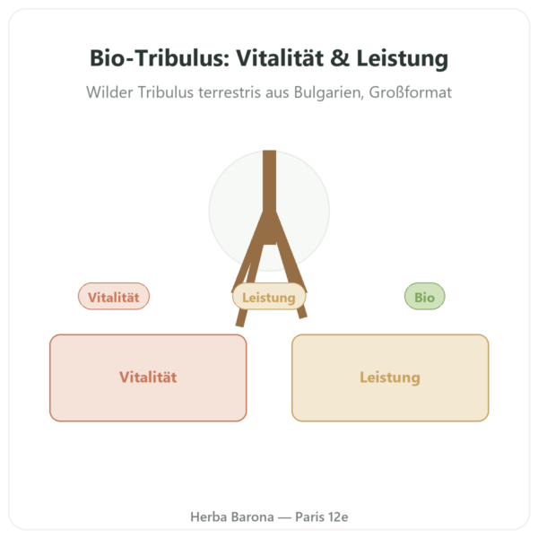 Tribulus terrestris Bio VemoHerb® – Dynveo – 300 Kapseln Vorstellung Paris Herba Barona