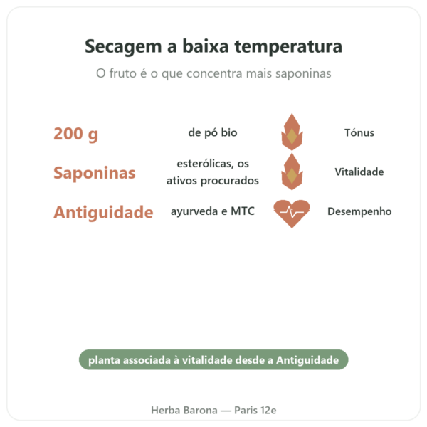 Tribulus Terrestris Bio em Pó 200g – Premium – Vegetopie – Comprar benefícios e dados principais Paris Herba Barona