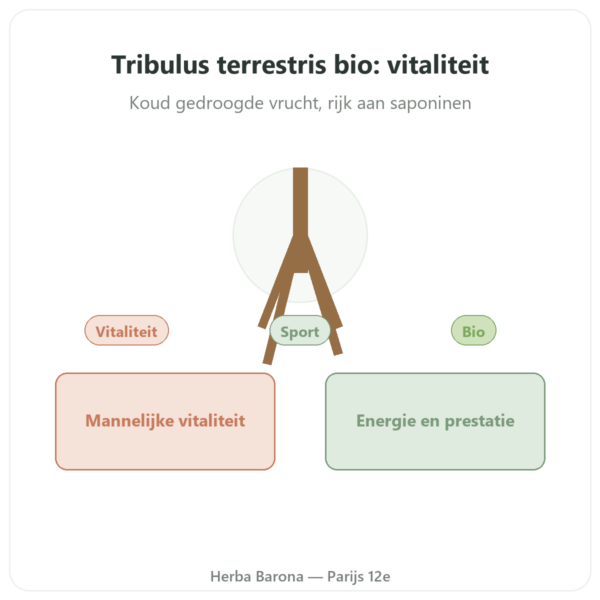 Tribulus Terrestris Bio Poeder 200g – Premium – Vegetopie presentatie Paris Herba Barona