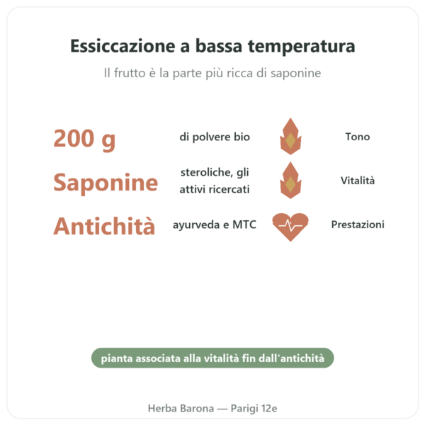 Tribulus Terrestris Bio in polvere 200g – Premium – Vegetopie benefici e dati chiave Paris Herba Barona