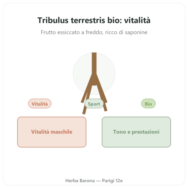 Tribulus Terrestris Bio in polvere 200g – Premium – Vegetopie presentazione Paris Herba Barona