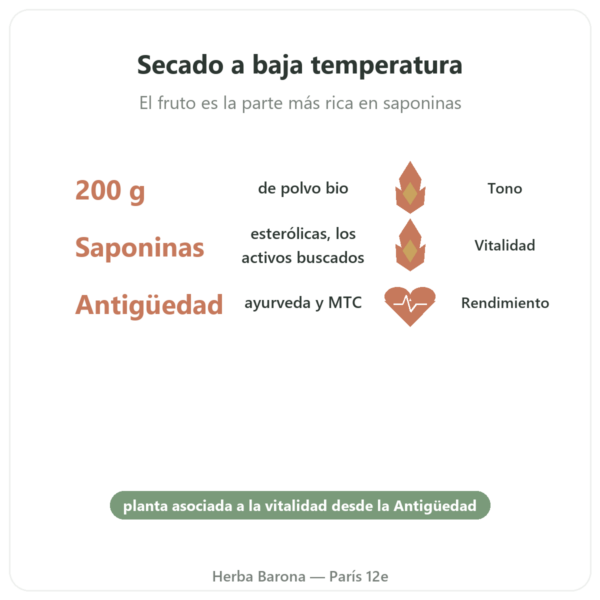 Tribulus Terrestris Bio en Polvo – 200 g – Premium – Vegetopie beneficios y datos clave Paris Herba Barona