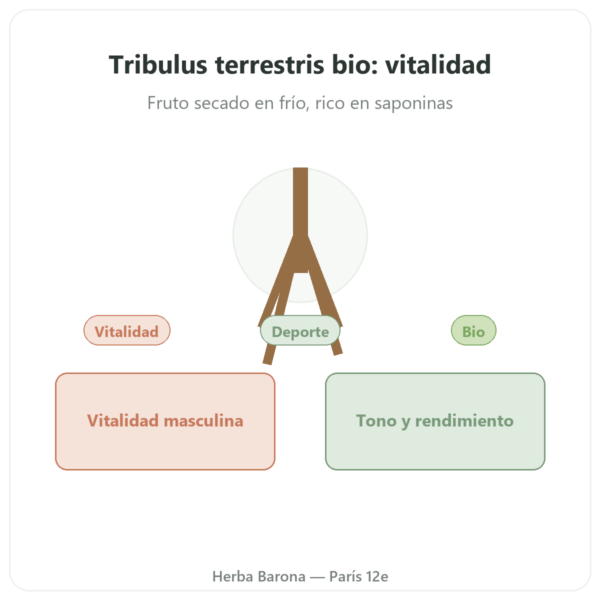 Tribulus Terrestris Bio en Polvo – 200 g – Premium – Vegetopie presentación Paris Herba Barona
