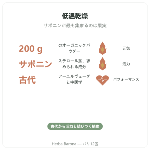 オーガニック トリビュラス・テレストリス パウダー 200g – Premium – Vegetopie benefits and key facts Paris Herba Barona
