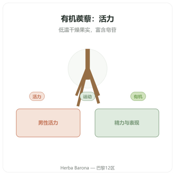 有机蒺藜粉 200g – Premium – Vegetopie 产品展示 Paris Herba Barona