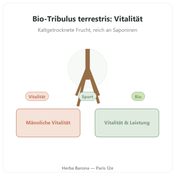 Tribulus Terrestris Bio Pulver 200 g – Premium – Vegetopie Vorstellung Paris Herba Barona