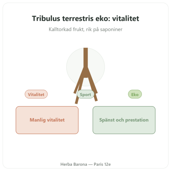 Tribulus Terrestris Ekologiskt Pulver 200g – Premium – Vegetopie presentation Paris Herba Barona