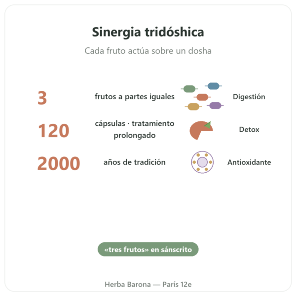 Triphala – Ayur-vana – 120 Cápsulas beneficios y datos clave Paris Herba Barona