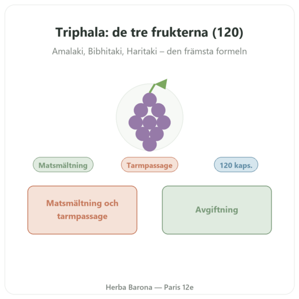 Triphala – Ayur-vana – 120 kapslar presentation Paris Herba Barona