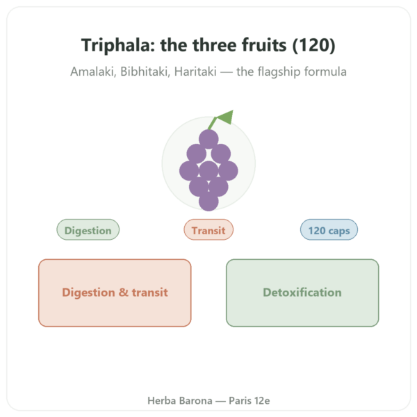 Triphala – Ayur-vana – 120 Capsules presentation Paris Herba Barona