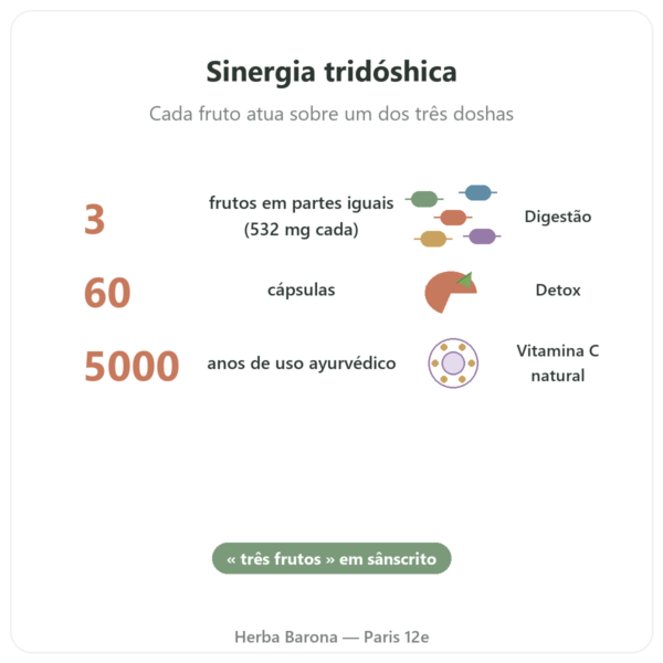 Triphala – Ayur-vana – 60 cápsulas benefícios e dados principais Paris Herba Barona