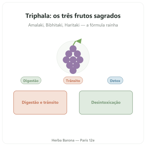 Triphala – Ayur-vana – 60 cápsulas apresentação Paris Herba Barona