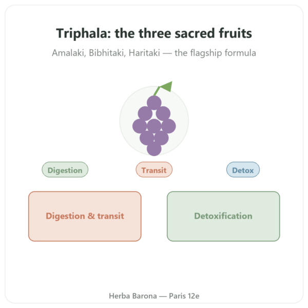 Triphala – Ayur-vana – 60 capsules presentation Paris Herba Barona