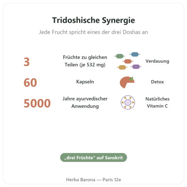 Triphala – Ayur-vana – 60 Kapseln Vorteile und Fakten Paris Herba Barona