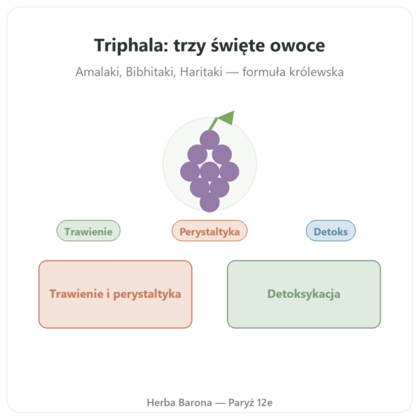 Triphala – Ayur-vana – 60 Kapsułek prezentacja Paris Herba Barona