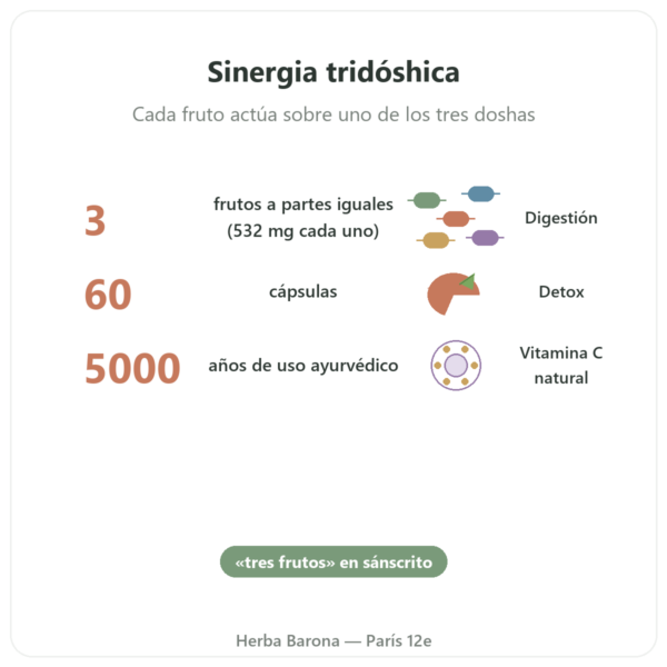 Triphala – Ayur-vana – 60 Cápsulas beneficios y datos clave Paris Herba Barona
