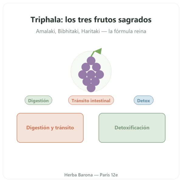 Triphala – Ayur-vana – 60 Cápsulas presentación Paris Herba Barona