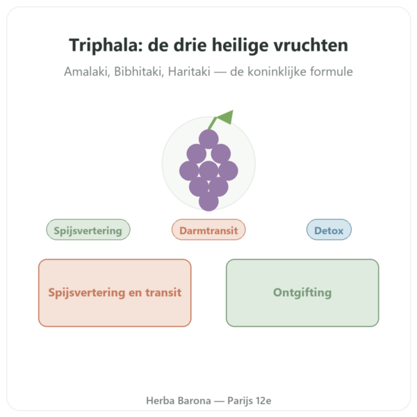 Triphala – Ayur-vana – 60 capsules presentatie Paris Herba Barona