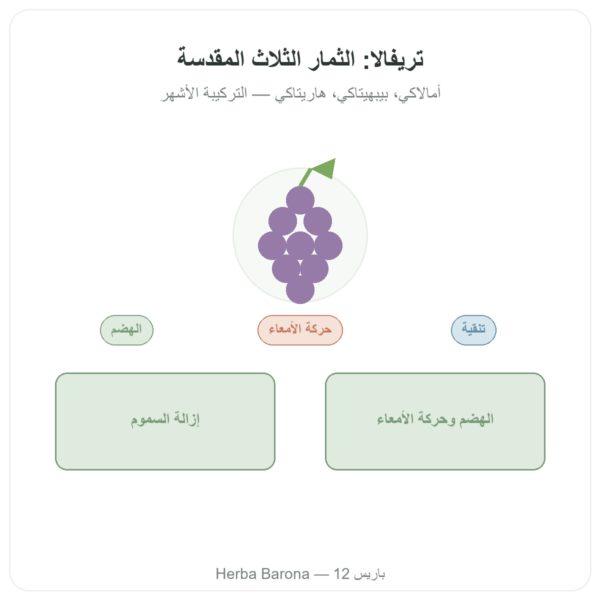 تريفالا – Ayur-vana – 60 كبسولة عرض المنتج Paris Herba Barona