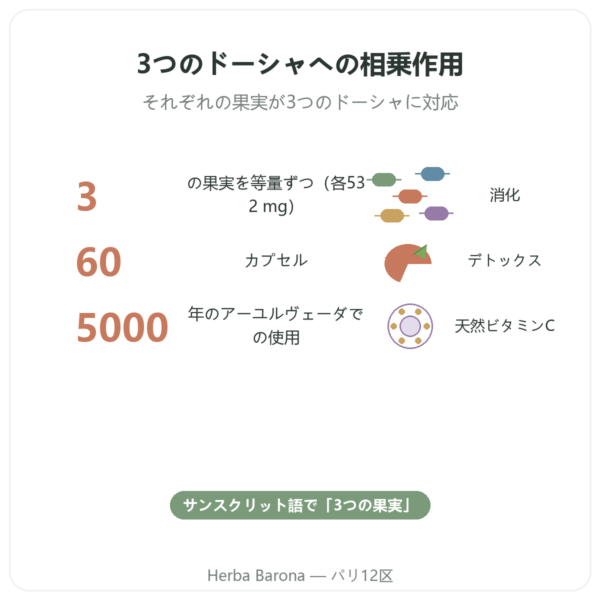 トリファラ – Ayur-vana – 60カプセル benefits and key facts Paris Herba Barona