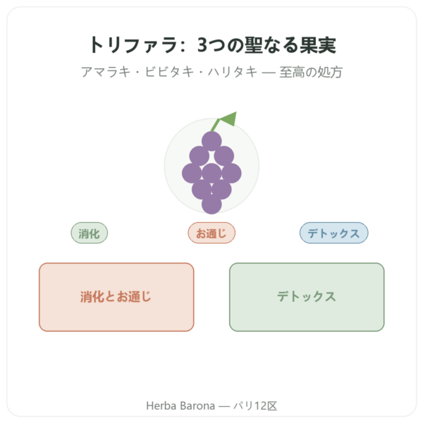 トリファラ – Ayur-vana – 60カプセル presentation Paris Herba Barona