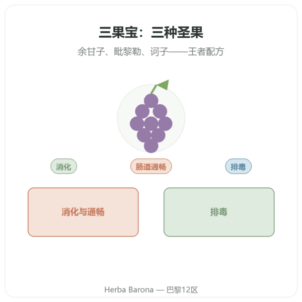 Triphala(三果宝)– Ayur-vana – 60 粒胶囊 产品展示 Paris Herba Barona