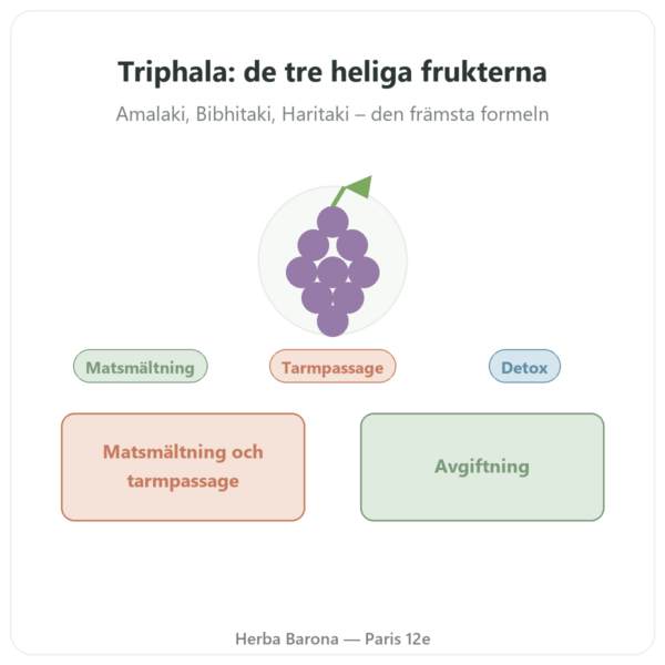 Triphala – Ayur-vana – 60 kapslar presentation Paris Herba Barona