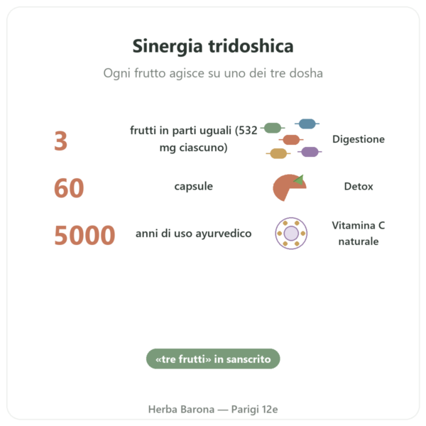 Triphala – Ayur-vana – 60 capsule benefici e dati chiave Paris Herba Barona