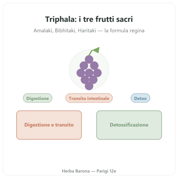 Triphala – Ayur-vana – 60 capsule presentazione Paris Herba Barona