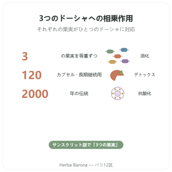 トリファラ – Ayur-vana – 120カプセル benefits and key facts Paris Herba Barona