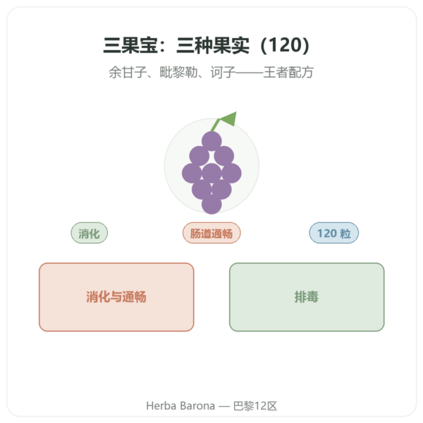 三果宝 Triphala – Ayur-vana – 120 粒胶囊 产品展示 Paris Herba Barona