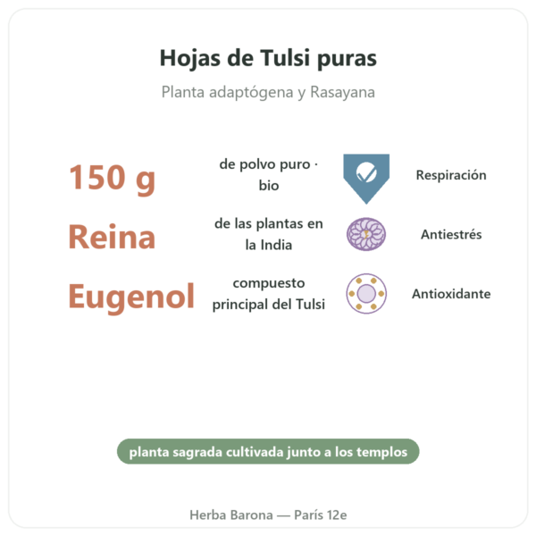 Tulsi Bio (Albahaca Sagrada) – Sachet de Polvo – 150 g – Ayur-vana beneficios y datos clave Paris Herba Barona