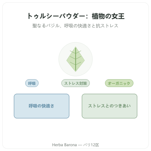 トゥルシー オーガニック(ホーリーバジル) – パウダー袋入り – 150 g – Ayur-vana presentation Paris Herba Barona
