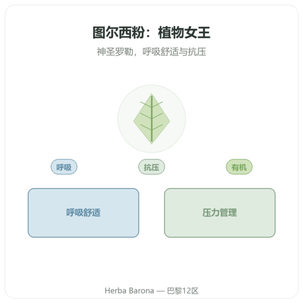 图尔西有机(圣罗勒)- 袋装粉末 - 150克 - Ayur-vana 产品展示 Paris Herba Barona