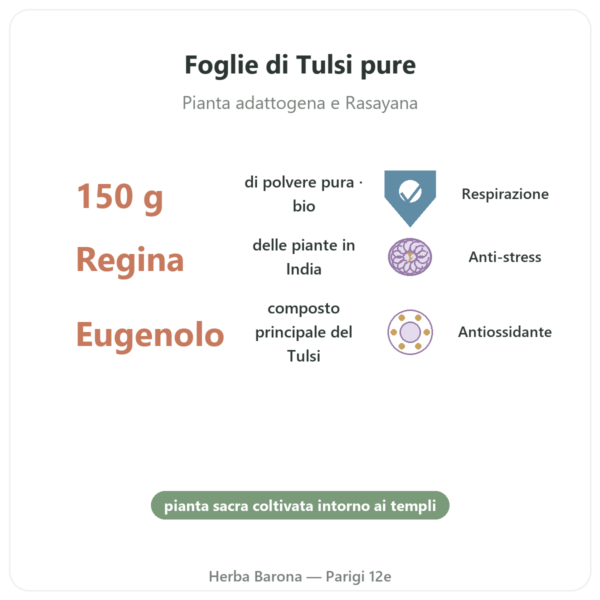 Tulsi Bio (Basilico Sacro) in Polvere – Ayur-vana – 150 g benefici e dati chiave Paris Herba Barona