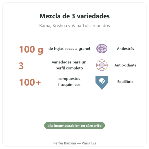 Tulsi Bio a Granel – Bolsa de 100 g – Ayur-vana beneficios y datos clave Paris Herba Barona