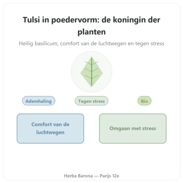 Tulsi bio (heilig basilicum) - Zakje poeder - 150 g - Ayur-vana presentatie Paris Herba Barona