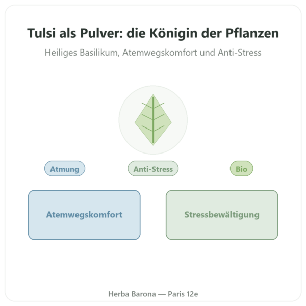 Tulsi Bio (Heiliges Basilikum) Pulver – 150 g – Ayur-vana Vorstellung Paris Herba Barona