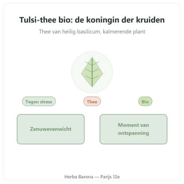 Tulsi Bio Kruidenthee 25 zakjes – Ayur-vana presentatie Paris Herba Barona