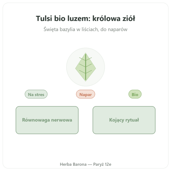 Tulsi bio luzem – saszetka 100 g – Ayur-vana prezentacja Paris Herba Barona