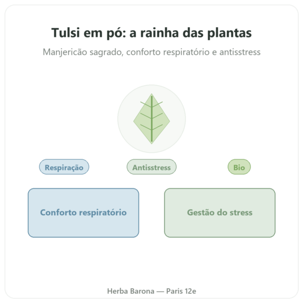 Tulsi bio (manjericão sagrado) - Saco de pó - 150 g - Ayur-vana apresentação Paris Herba Barona